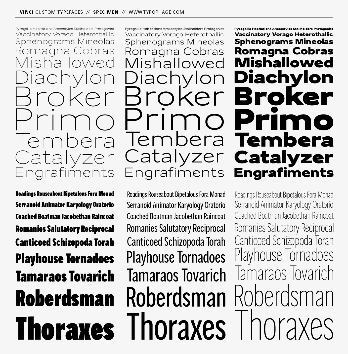 Typographies exclusives Vinci. Specimen de caractères.