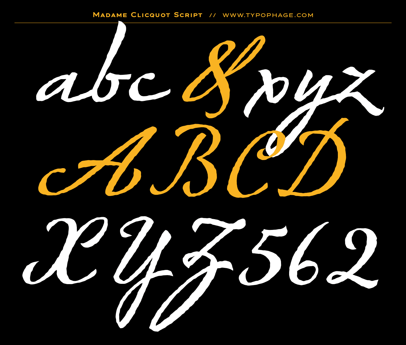 Typographie exclusive Veuve Clicquot Ponsardin. Alphabet sur mesure, typographie d'identité. Specimen de caractères typographiques. Typographie scripte. Ecriture typographiée.