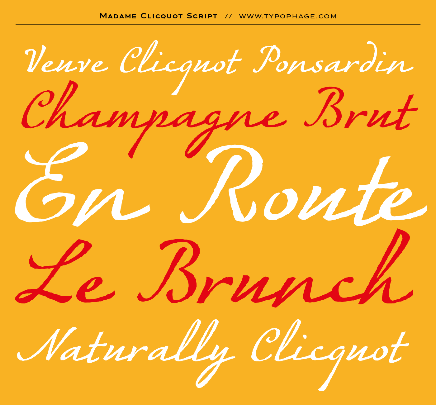 Typographie exclusive Veuve Clicquot Ponsardin. Alphabet sur mesure, typographie d'identité. Specimen de caractères typographiques. Typographie scripte. Ecriture typographiée.